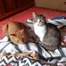 Adela Hale - Facebook