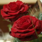 adelahal-eid - @adelahaleid1403 - Instagram