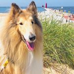Adela Hamilton Keranen - @adelakeranen - Instagram