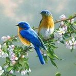 Adelaida Hansen - Facebook