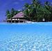 Adela Hess - Facebook