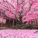 Adela Jackson - Facebook