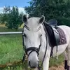 AdelaOsuna - @adelaosunaxhmbqf - TikTok