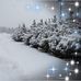 Adela Salgado - Facebook