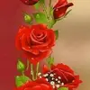 Adela Sanchez - @adela.sanchez229 - TikTok