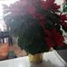 Adela Santos - Facebook