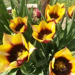 Adela Ștefan - @adela.stefan.71 - Instagram