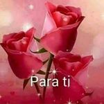 Adela Torres - @adela_torres_ - Instagram