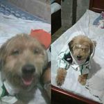 Adelaida Viana Arango - @adelaidamaria.vianaarngo - Instagram