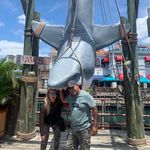 Maria Adelaida Arango - @made1001 - Instagram