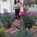 Adelaida Rivas - Facebook