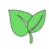 adelaidacorral839 - @adelaidacorral839 - TikTok