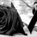 Adelaida Leon - Facebook