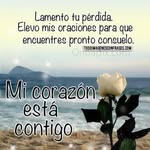 Adelaida Muñoz - @adelaidamunoz6 - Instagram