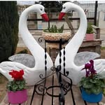 Adelaida Muñoz - @eljdeloscisnes - Instagram