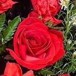 Adelaida Narváez - @adelaida.narvaez.334 - Instagram