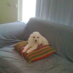 Adelaida Peralta Nunez - @adelaidaperaltanunez - Instagram