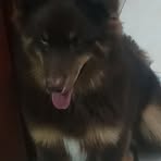 Adelaida Velez - Facebook