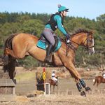 Adelaide Arnold-Oakes - @adelaide_arnoldoakes_eventing - Instagram