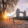 Adelaide Bailey - @liveitlondon - TikTok