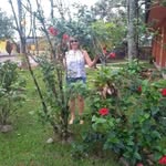 Adelaide Mendes - @mendesadelaide154 - Instagram