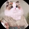 Adelaide Rossetti - @adelaide.rossetti8 - TikTok