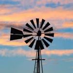 adelaide Williams - @windpompstories - Instagram