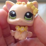 Adelaide Williams - @adelaide.kitten - Instagram