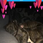Adele Beaulieu - @adiepurple - Instagram