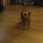 Adele Benson - @adele_65_benson - Instagram