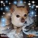 Adele Broody - Facebook