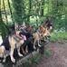 Adele Clayton - Facebook