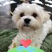 Adele Connelly - Facebook