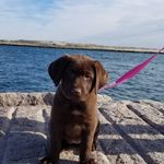 Oonagh Adele Cooke - @oonagh_adele - Instagram