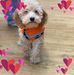 Adele Crawford - Facebook