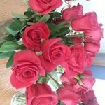Adele Farr Dorsey - @adele.dorsey - Instagram
