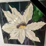 Adele Elliott - Facebook