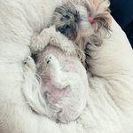 Adel - @adele_feldman - Instagram