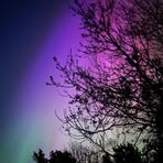 Adele Finnegan - Facebook