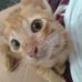 Adelle Firman - Facebook
