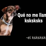 Adele Gallegos - Facebook