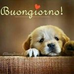 Adele - @adele.ganzerla79 - Instagram