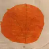 adele.garcia123 - @adele.garcia - TikTok