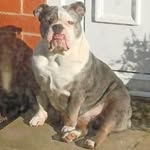 Adele Gardiner - @adelegardiner69.ag73 - Instagram