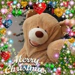 Adele Gardiner - @gardiner2640 - Instagram