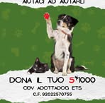 Adele Garofalo - Facebook