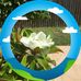 Adele Garza - Facebook