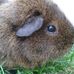 Adele Gaskin - Facebook