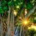 Adele Gendron - Facebook