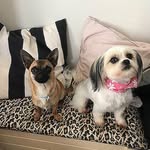 Adele & George - @adele_george_0 - Instagram